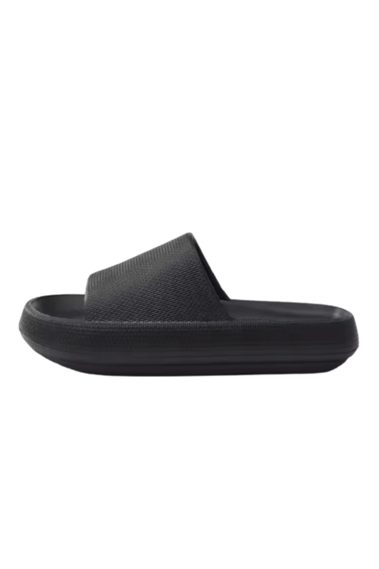 Check Slides