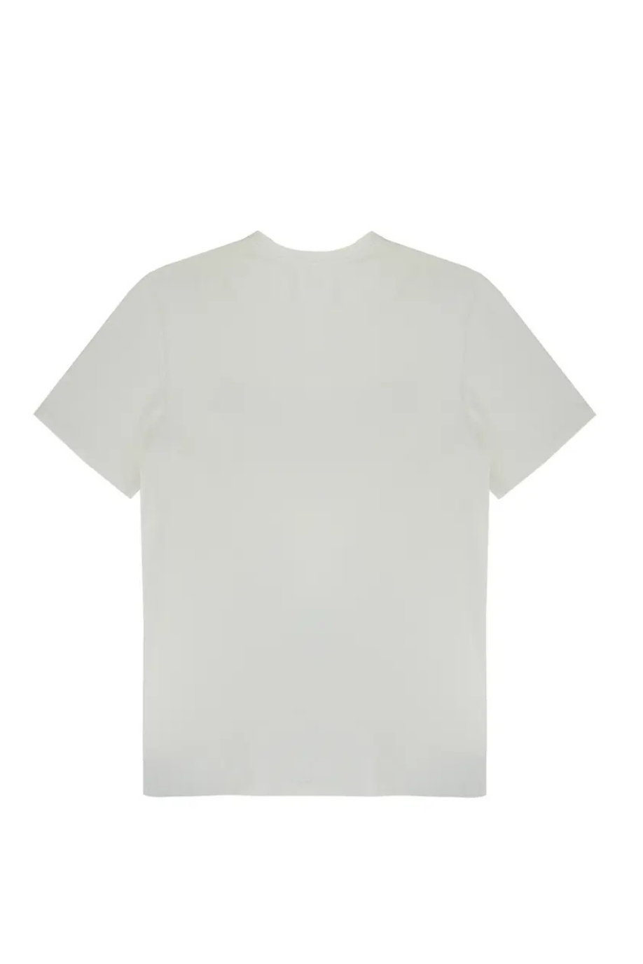Polo Bear Graphic T-Shirt