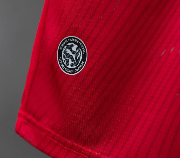 Switzerland 2026 Home Kit