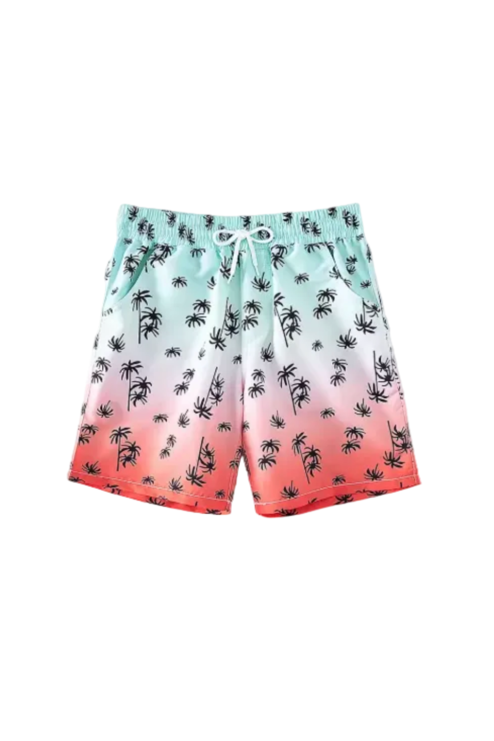 Check Swim Shorts
